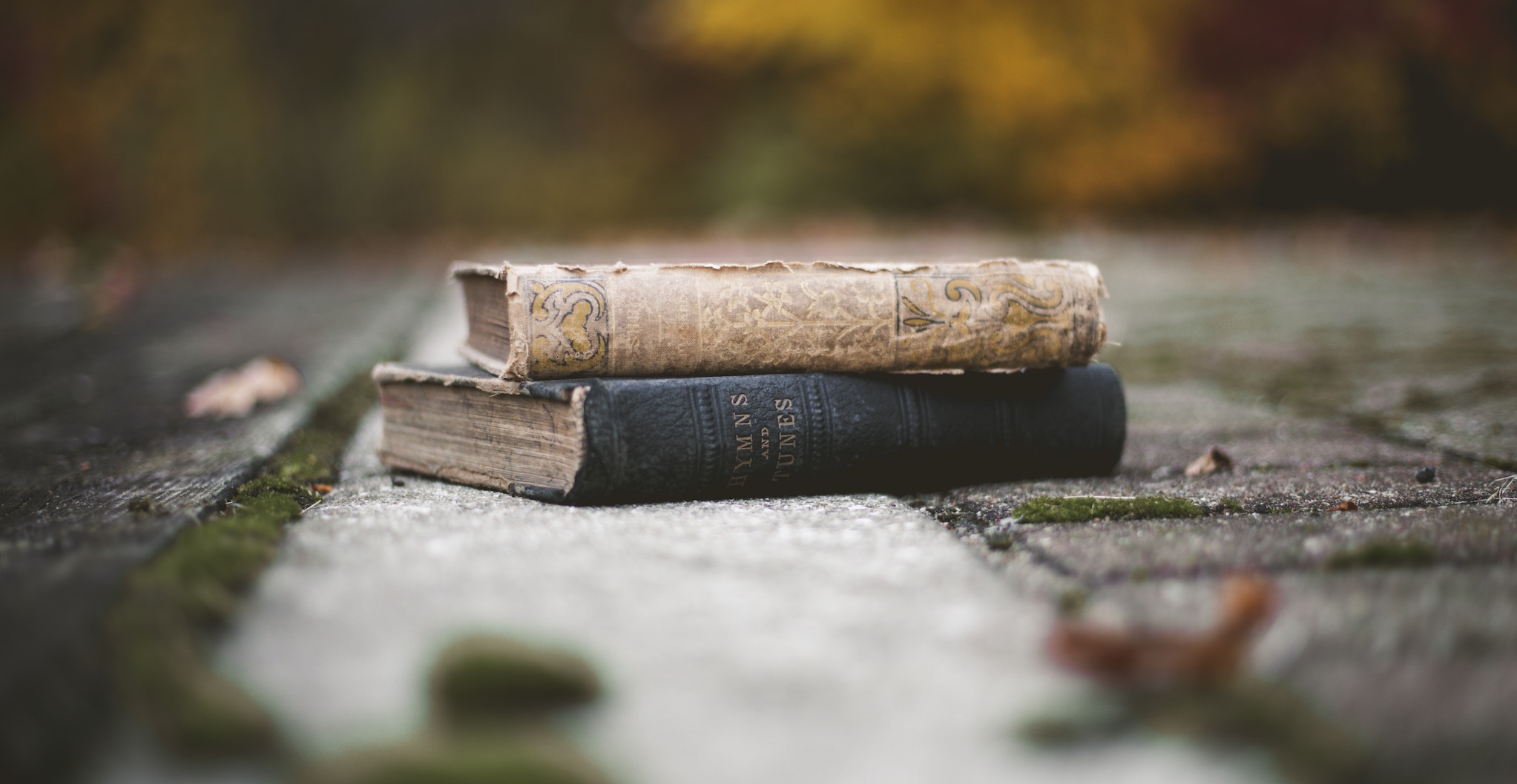 推荐阅读 2019-04-05 - 为什么Google+失败了