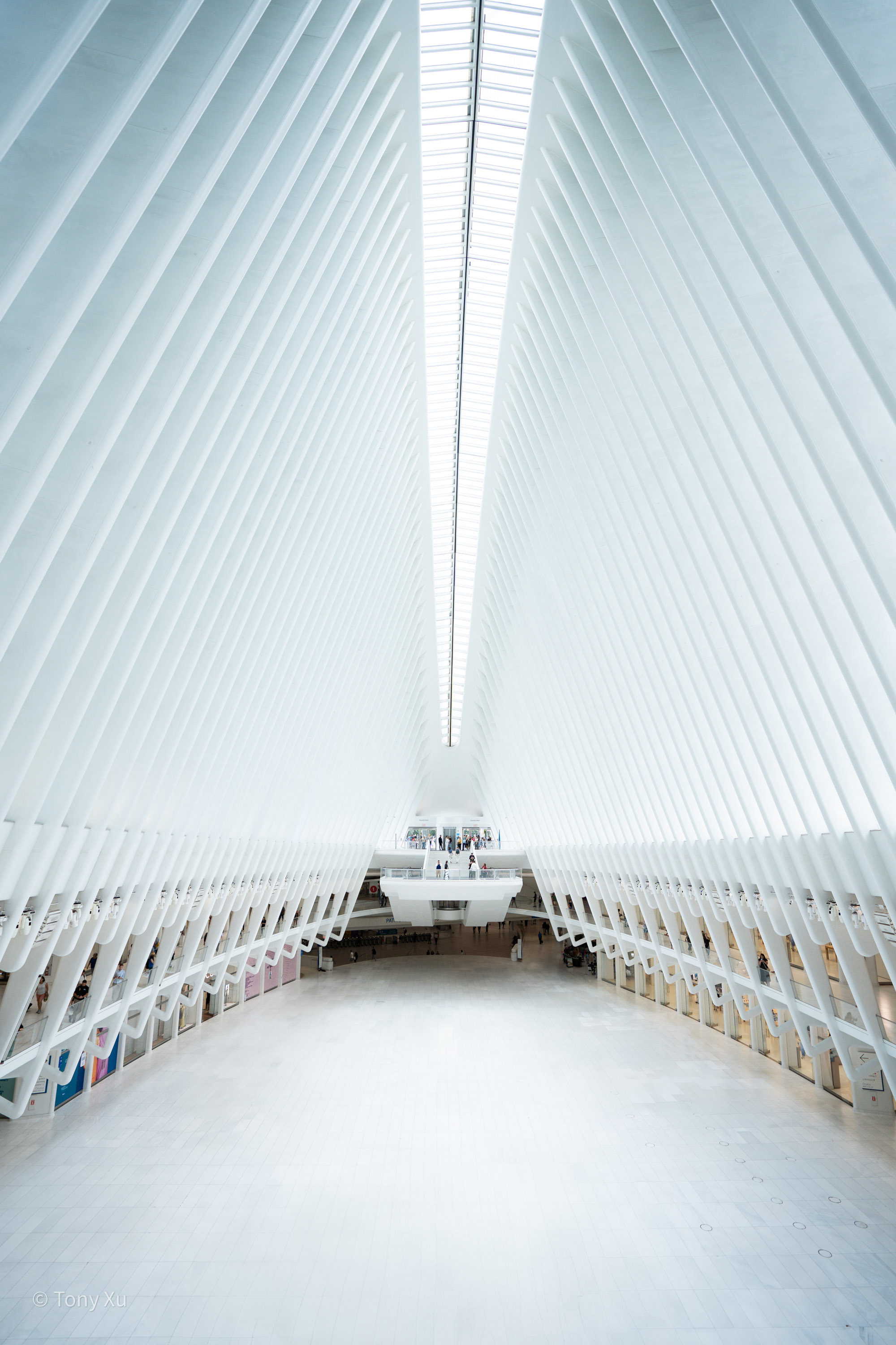 The Oculus